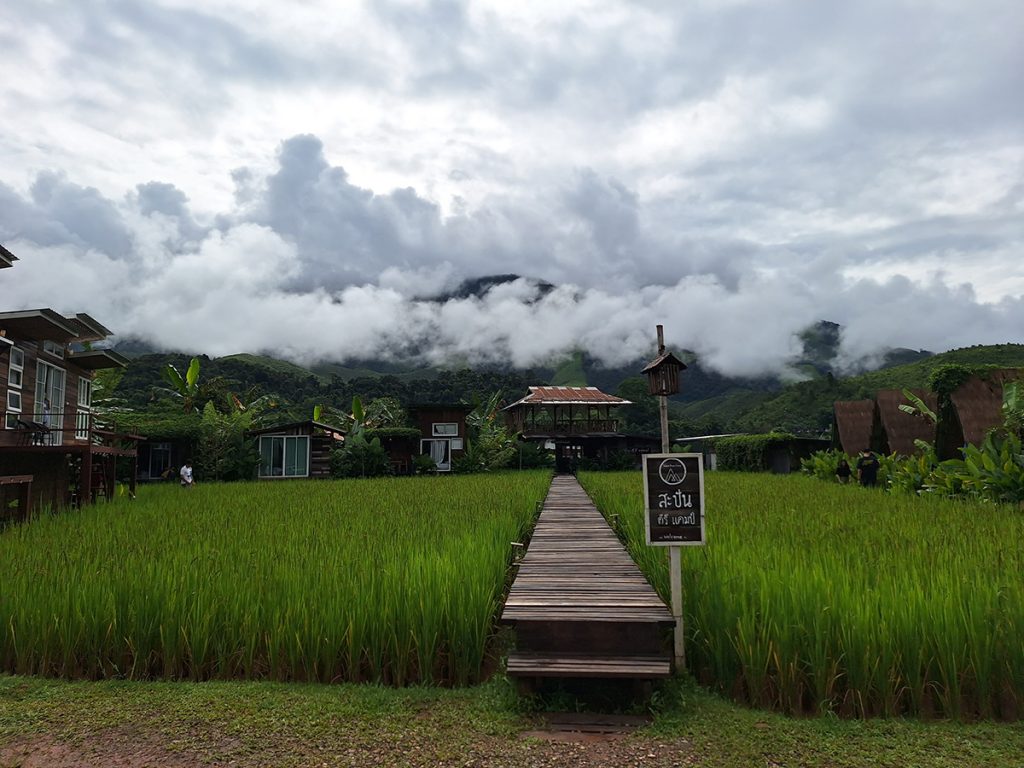 สะปัน​ คีรี​ แคมป์​ (sapan kiree camp)​