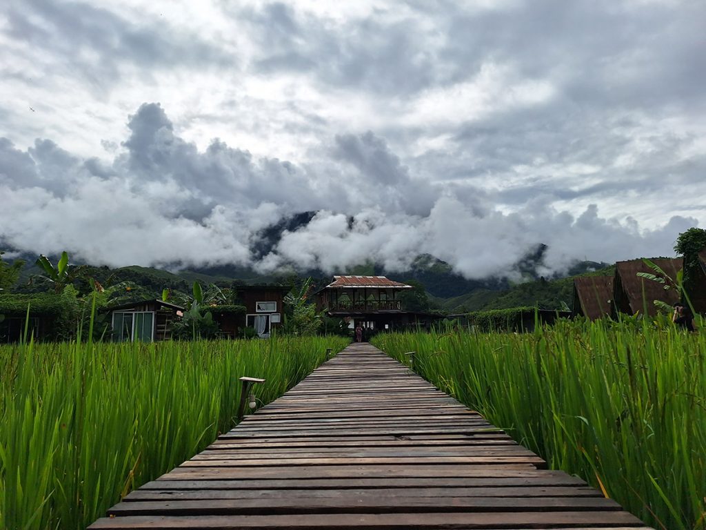 สะปัน​ คีรี​ แคมป์​ (sapan kiree camp)​