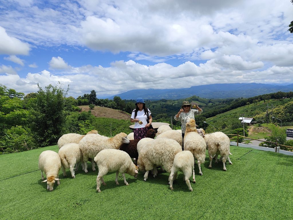 15 ที่เที่ยวน่านห้ามพลาด พร้อมบริการรถเช่าพร้อมคนขับ