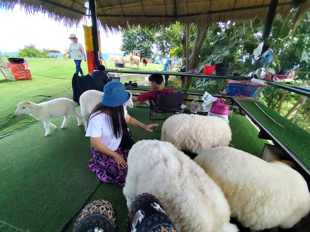 15 ที่เที่ยวน่านห้ามพลาด พร้อมบริการรถเช่าพร้อมคนขับ