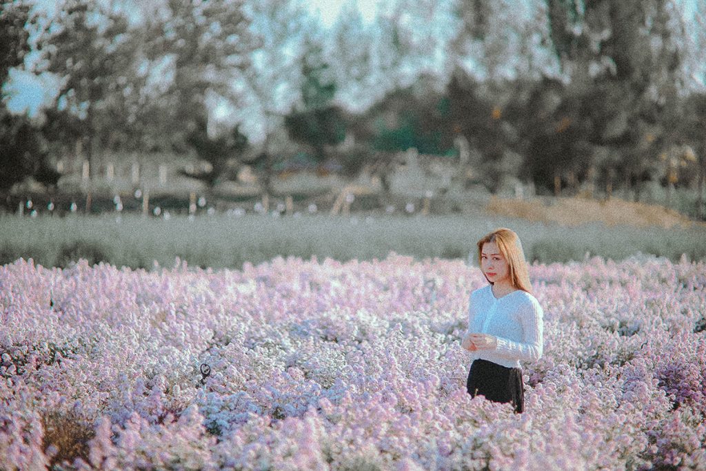 รถเที่ยวปัวพร้อมคนขับ รถเที่ยวสะปันพร้อมคนขับ