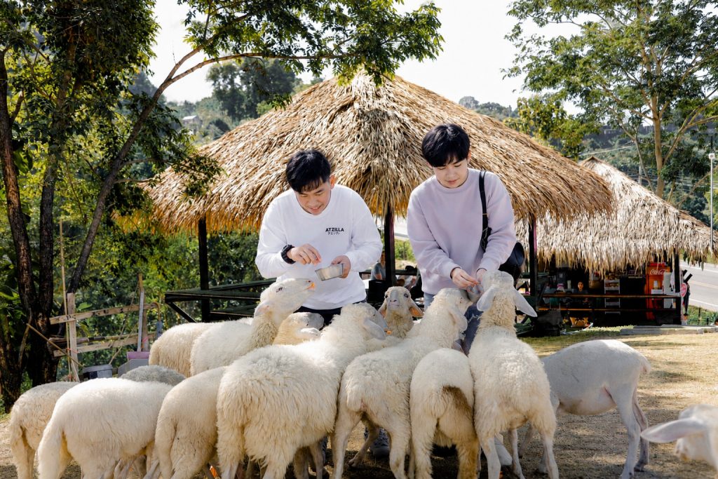 เช่ารถพร้อมคนขับเที่ยวน่าน ปัว บ่อเกลือ